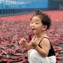 을해농장 이미지