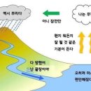 파파피나 이미지