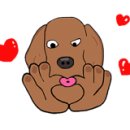 개편한 애견미용 이미지