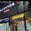 부산강아지분양 앨리펫 이미지