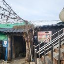 꽃무지 노래연습장 이미지