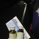 송산낚시 | 전곡항 배낚시 쭈꾸미 갑오징어 낚시 레인보우호 출조 후기.