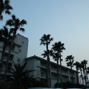 꿈에본꽃돼지 이미지