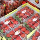 우리야채청과 이미지