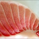 싱싱참치 이미지