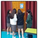 펍핀