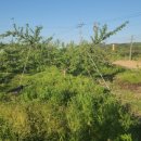 오계리농장 이미지