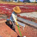 씨사이드파크 텐트캠핑장화장실 이미지