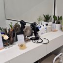 세신샵 담다 이미지