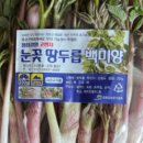 부자농장1 이미지