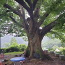 연곡리 주차장 이미지