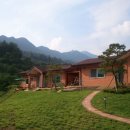 매실사랑펜션 이미지