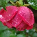 6월 23일 월요일 간추린 뉴스와 날씨 이미지