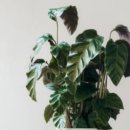 교동면옥 경북의성점 | 의성군 맛집 추천, 현지인 BEST 10