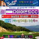 다이아몬드CC Daum카페