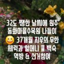 [ 원주아기랑가볼만한곳 ] 6월의 동화마을수목원 팩트 후기 (ft. 32도 폭염 속 잔디광장)