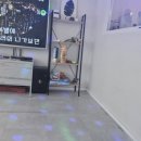 부평파티룸어반아지트 후기🔥