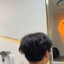 마곡 | 남자 머리 잘 하는 은결하다에서 시스루 댄디 컷+다운펌 받은 진짜 솔직 후기!