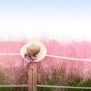 케이비(KB)호텔 이미지