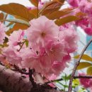 성남2길 이미지