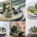 테라리움 이미지