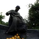 플로리다 농장 이미지