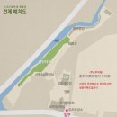 소나무숲아래 | 충주에 위치한 자연 속 평화로운 캠핑장: 소나무숲아래