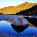 굴구지정원 이미지