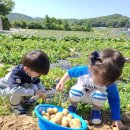 예일농장 이미지