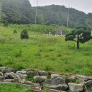 유수정행정사사무소 네이버블로그