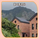 화이트카사 이미지