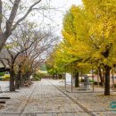 남산초등학교궁류분교장 이미지