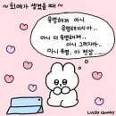 정준일 콘서트 이미지