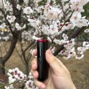 지에스(GS)25 진접퍼플점 | N년차 쓰고 있는 글로 하이퍼 프로 사용법, 편의점 전자담배 선물로도 추천해요