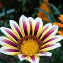 진남체육공원 주경기장 이미지