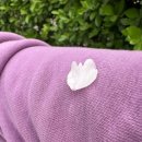 가톨릭대학교 교회음악대학원 | 2025년을 돌아보며