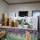 주치골사람들 이미지