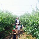 애니와투니어린이집 이미지