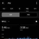 일월십일일