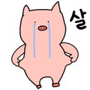 창원호 이미지
