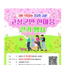 남포항 다목적광장 Daum카페