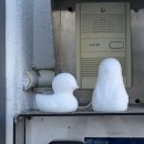 전시공간 지원사업 <PUZZLE_맞추어가다> | 자극