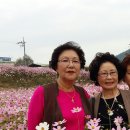 광양동초등학교 이미지