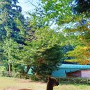 중문통나무가족호텔 이미지