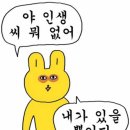 군산월명체육관 이미지