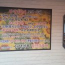 임진강장어 이미지