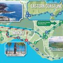 코코프라자시장 이미지