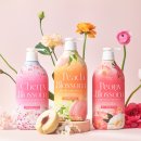 워시워시 이미지