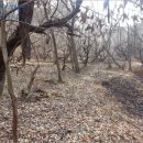 조마면사무소 이미지