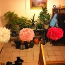 현진목장 이미지